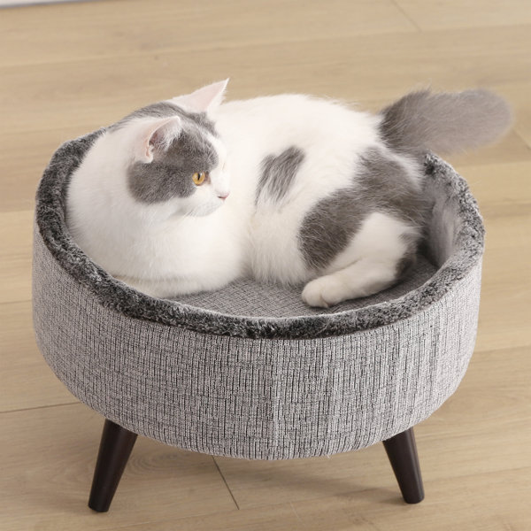 Archie & Oscar™ Heinz Round Cat Bed with Wood Leg Elevated & Reviews Wayfair